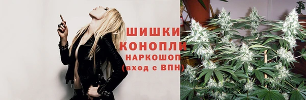 СК Абаза