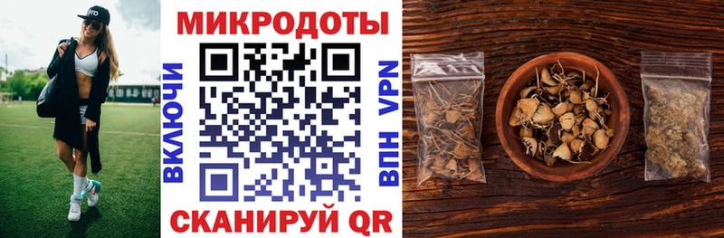 Псилоцибиновые грибы Magic Shrooms  сайты даркнета состав  Елизаветинская  кракен вход 